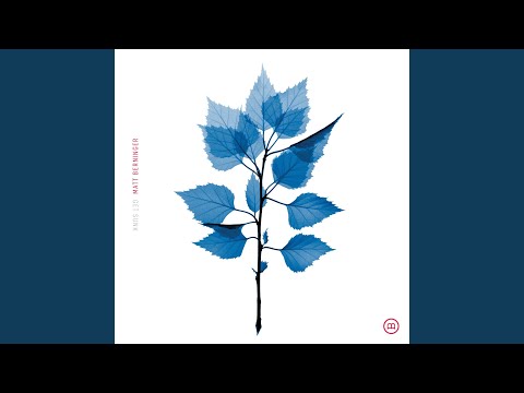 Matt Berninger - Bonnet Of Pins