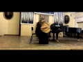 Ludwig van Beethoven - Fur Elise Version by Ukrainian National Folk instruent - Bandura