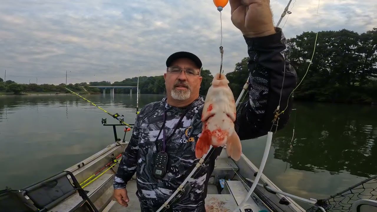 Catching good numbers of channel cats on Boone Lake in East Tennessee!!