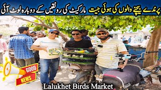Lalukhet Sunday Birds Market 2024 Latest Update | Cheapest Exotic Parrot Birds Market @SYEDBIRDS