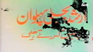 Sesha Enterprise 1985, Stan