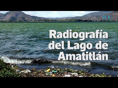 Agua que ingresa al lago de Amatitlán es 90 por ciento de drenajes | Prensa Libre