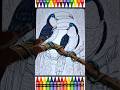 🦜✨ Satisfying Toucan Coloring | Relaxing ASMR Digital Bird Coloring 🎨