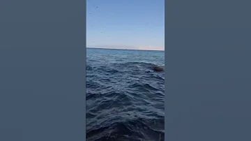 رسى موج البحر 