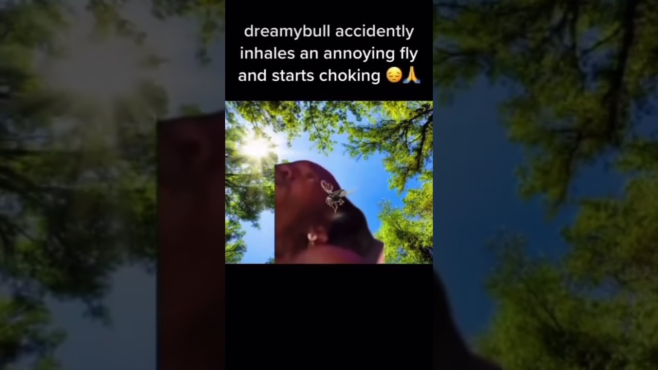 Dreamybull accidently inhales an annoying fly and starts choking @A - iFunny