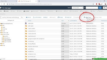 How to Recover Deleted Website Files From CPANEL File Manager