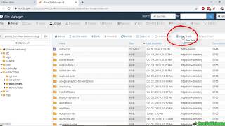 how to recover deleted website files from cpanel file manager