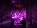 EP 24  Dekorasi pernikahan viral seperti kaya konser mewah banget #wedding #viralshorts#event