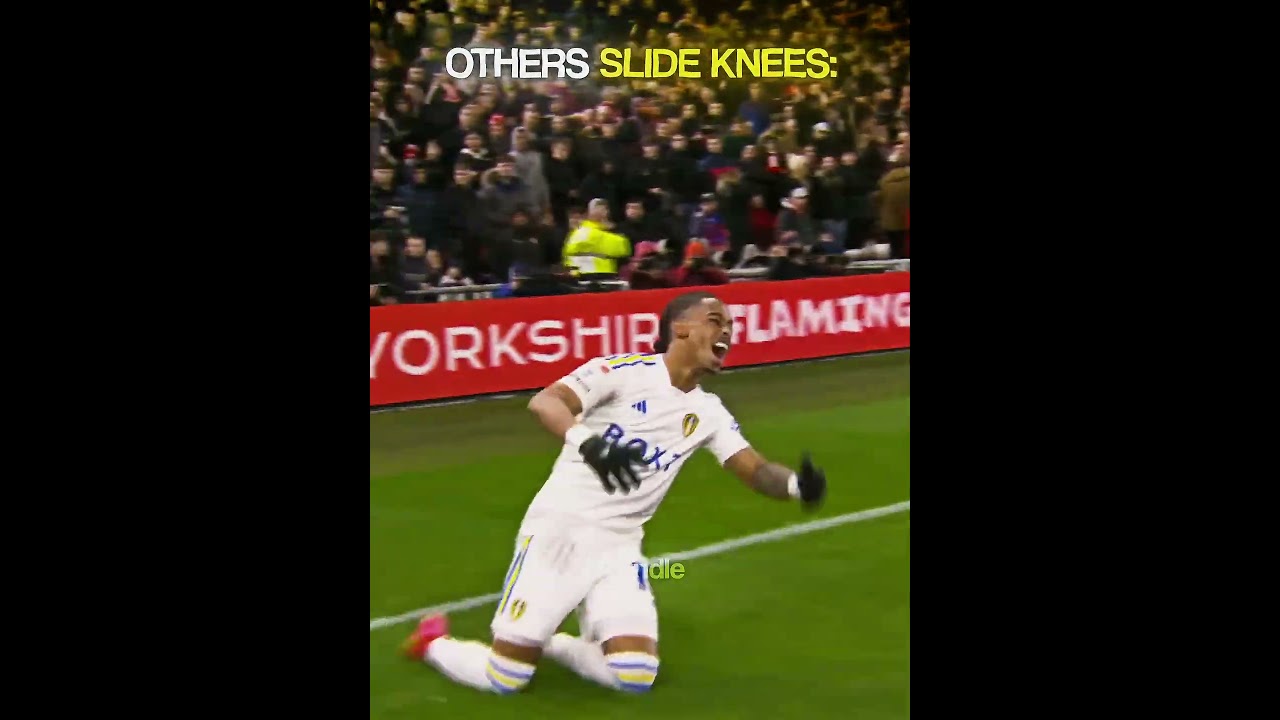 Normal Knee Slide vs The PRO☠️