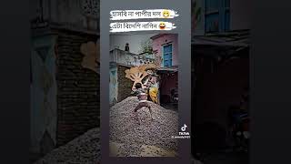 Nagin টকটক ভইরল ভডও ট ভডও ক ডনস Dance Video Video