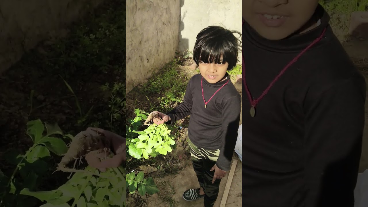 chimmu little farmer 