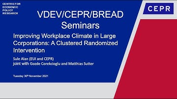 VDEV/CEPR/BREAD 22 - Improving Workplace Climate in Large Corporations: