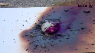 THE REACTION OF MAGNESIUM WITH IODINE