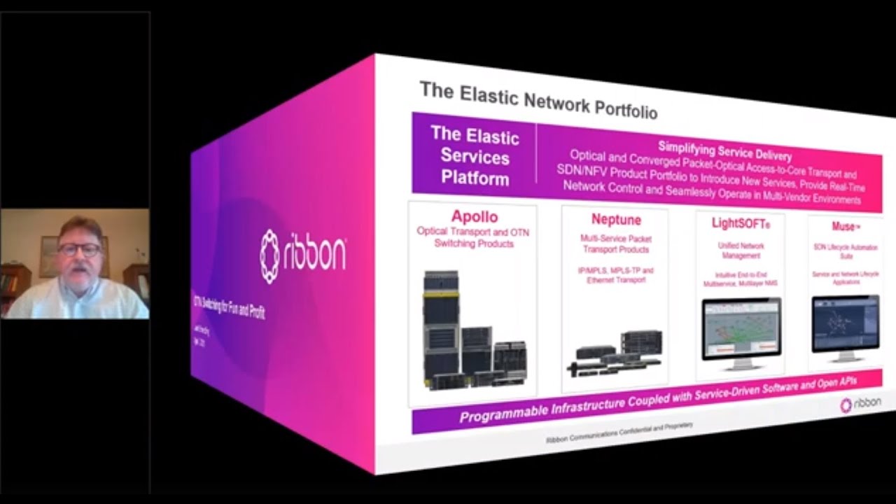 Enabling Profitable Business Services through OTN Switching