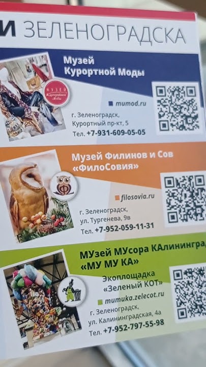 Лучшие, оригинальные музеи Зеленоградска. Мурариум, Ангелов, Скелетов ...