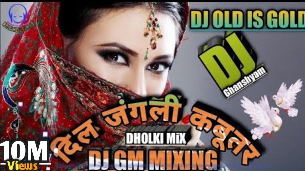 ❤Dil Junglee Kabootar Dj Love Song ! दिल जंगली कबूतर Dj GM Mixing