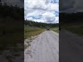Jeep Riding Trails Northwest Florida Water Management District