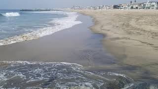 Celebrity Beach modification: Groins Wealth