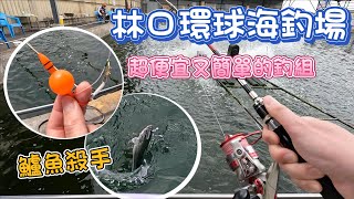 超便宜又簡單的釣組!魚來吃餌超明確#釣魚#林口環球海釣場