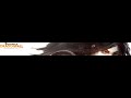 Shadowrun: Dragonfall - Director's Cut