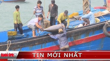⚡ NÓNG | Những chuyến tàu đánh bắt 2 năm cập bến