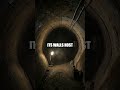 The Luminous Vaults Beneath Nocturne Street