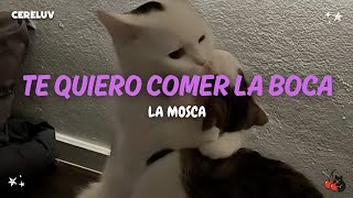 La Mosca - Te Quiero Comer La Boca (Letra)