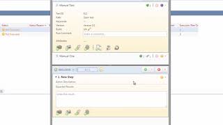 HowTo use the Manual Testing Client in Silk Central