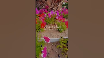 ريح قلبك ❤قران الكريم💚 اللهم اجعل القرآن ربيع قلوبنا