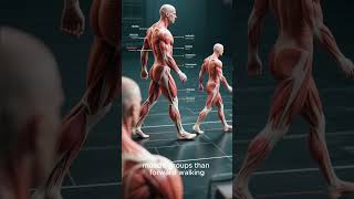 The Surprising Health Benefits Of Walking Backwards