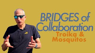 Troika Consulting - BRIDGES of Collaboration #personalgrowth #businesscoach #liberatingstructures