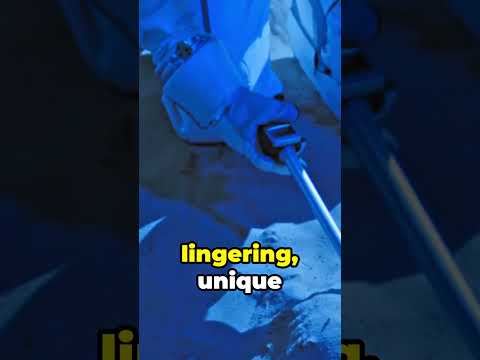 What Does The Moon Smell Like Shorts Amazingfacts Space Solarsystem Nasa Moon Universe