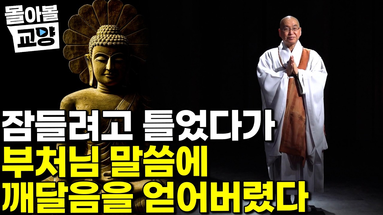 "꿈속에서 부처님을 만났다" 법륜 스님이 직접 들려주는 석가모니 이야기 들으면서 자고 일어났더니 개운한 건 내가 깨달음을 얻어서 일까 