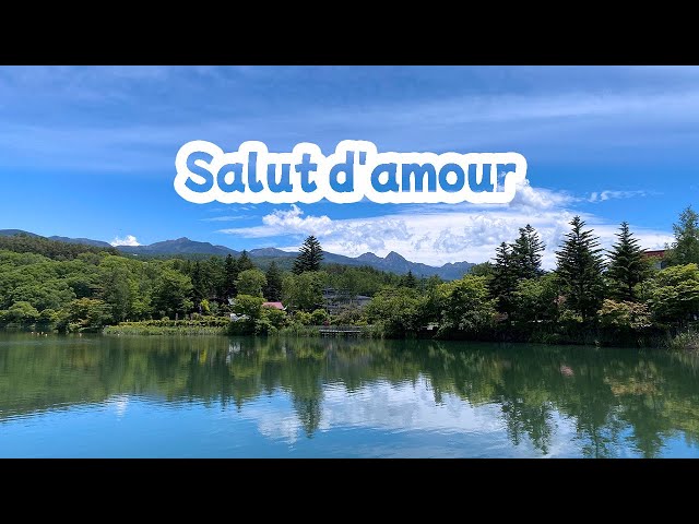 Salut d'amour by Edward Elgar エドワード・エルガー作「愛の挨拶