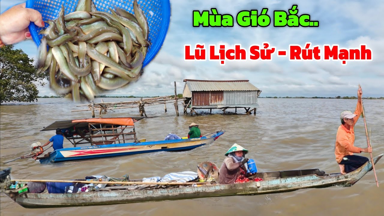 LŨ lịch sử RÚT Mạnh
