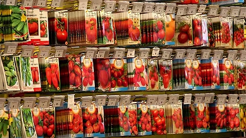 Что означает 