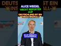 💥 WEIDEL WECKRUF FÜR REPORTERIN⚡#afd #cdu #2026 #merz #klingbeil #spd #weidel #politik