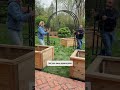 Trellises are such a game changer so here’s how to use them right #trellis #garden #plants #tomato