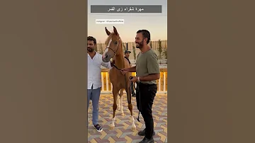 Shorts مهرة شقراء زى القمر ٦٠شو مع الدكتور حاتم ستين 