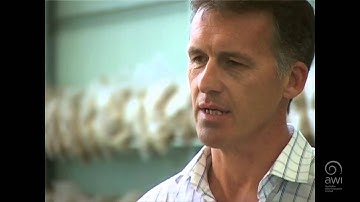 AWI Wool Handling - Getting a Start - Point of View - Mark Grave