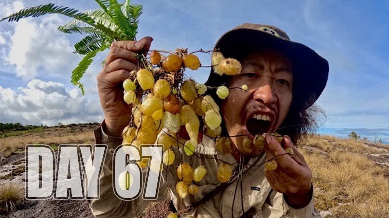เอาชีวิตรอด DAY 67 ผลไม้ในพื้นที่แห้งแล้งหลังเขา ...!! [ โจโฉ ]