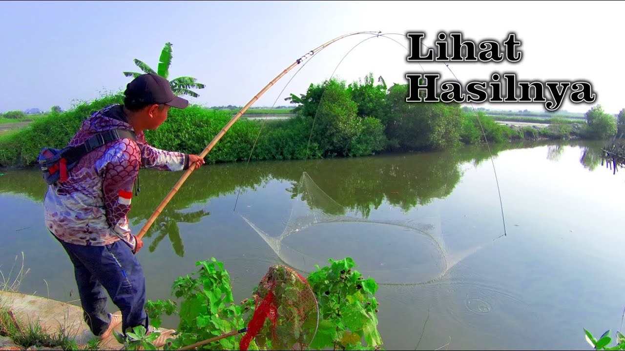 🔴 PERTAMA KALI KESINI, LIHAT HASILNYA || Branjang Anco Jaring Ikan