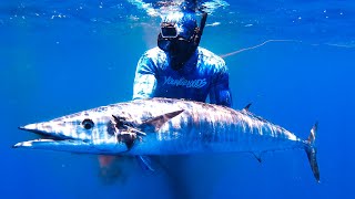 INSANE DAY BLUEWATER SPEARFISHING FOR FOOD Creamy Garlic Fish Pasta (Catch And Cook) - Ep 268