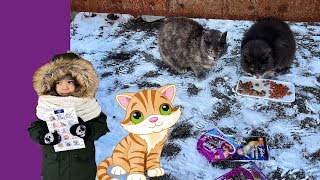Good Boy Mark кормит кошек Видео для детей 0+ Смешные коты без дома Good Boy Mark кормит кошек Видео для детей 0+ Смешные коты без дома