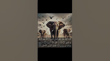 Surah Al-Fil:  -  سورة الفيل The Miracle of the Elephants!