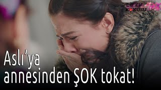 Çilek Kokusu - Aslıya Annesinden Şok Tokat