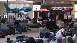 【大荒れの余波各地で】13日に猛吹雪が襲った北海道―新千歳空港では126便欠航で約900人が空港で夜を明かす…道路状況も悪く「積もりすぎて絶望」〈北海道〉