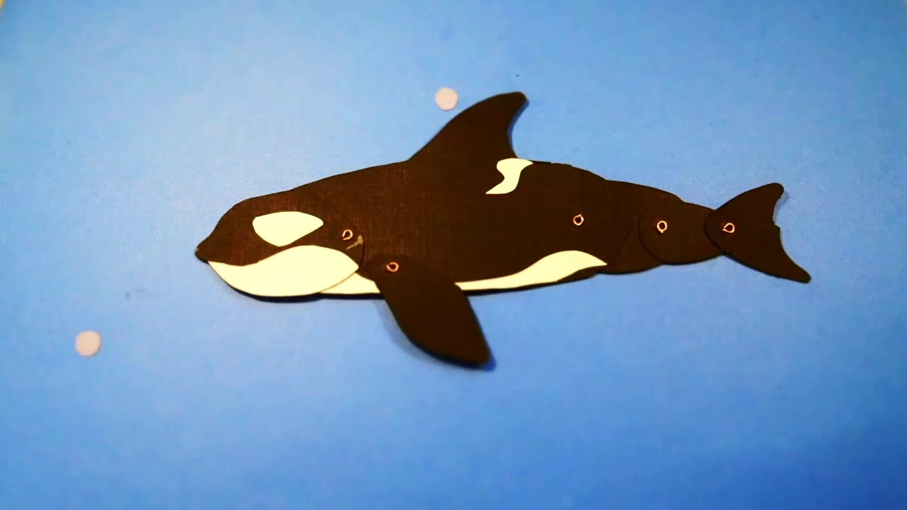 Swim || Paper Cut-Out Animation