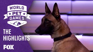 The Highlights | WORLD PET GAMES