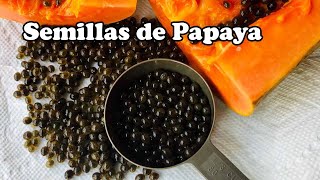 Descubre los 5 grandes beneficios de comer Semillas de Papaya by Salud Book 6,301 views 2 years ago 5 minutes, 18 seconds